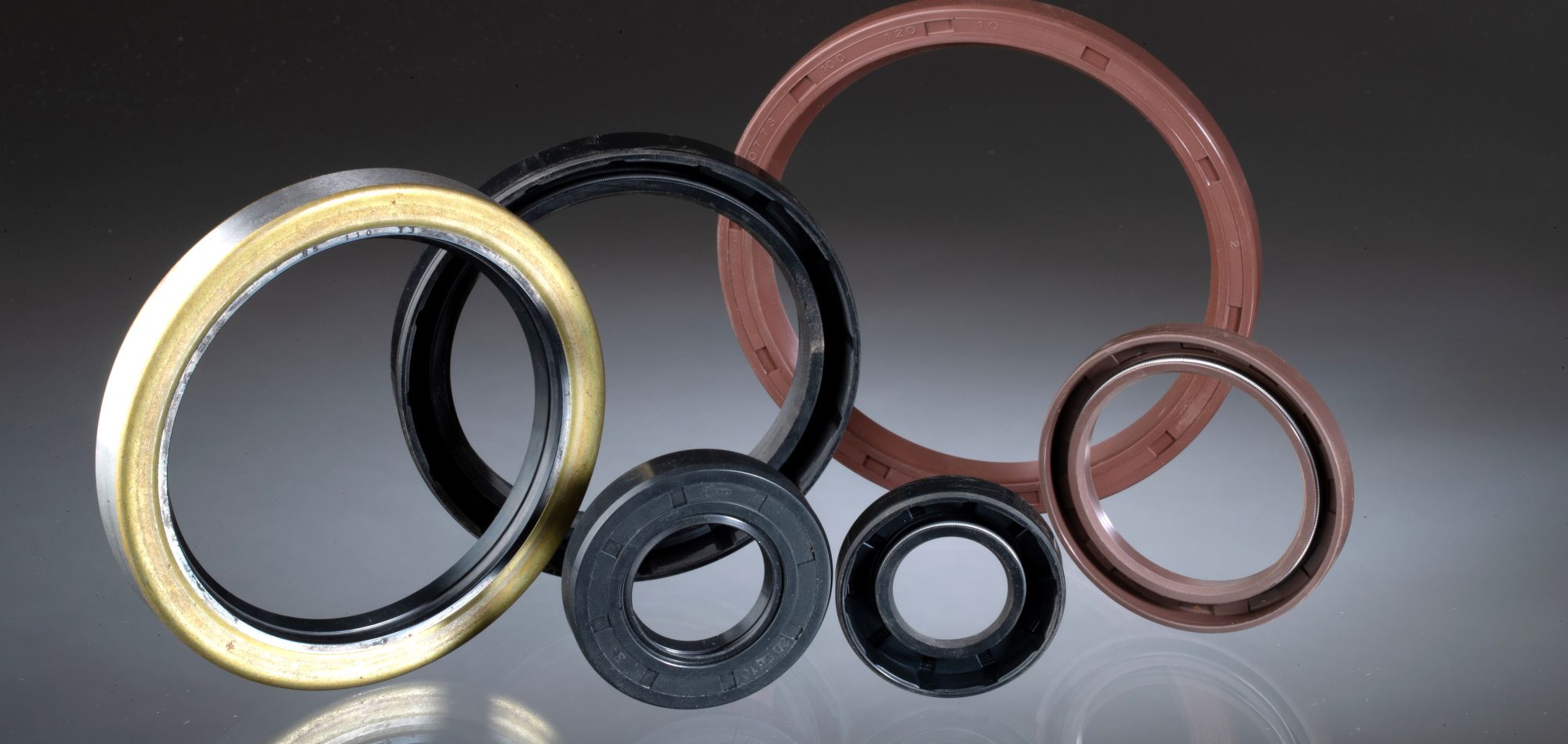 Rotary Shaft Seals